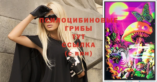 гашик Богородицк