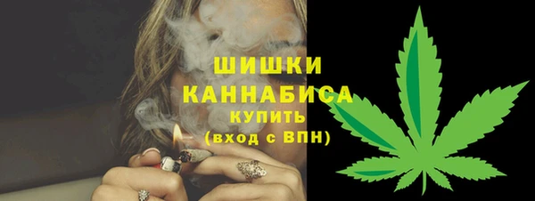 гашик Богородицк