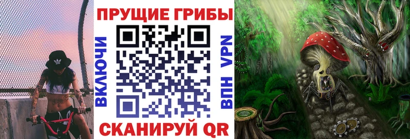 Купить закладки Мурманск Галлюциногенные грибы Cubensis