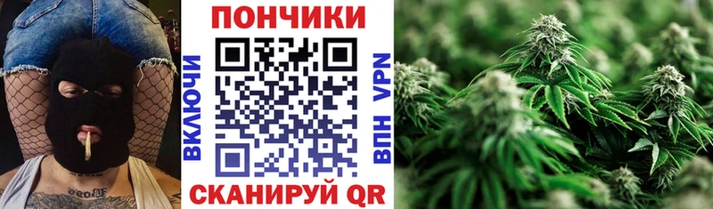 Купить где  Мурманск  Каннабис планчик 